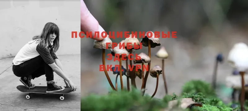 Галлюциногенные грибы MAGIC MUSHROOMS  Чкаловск 